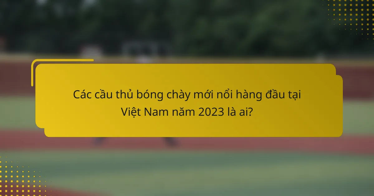 Các cầu thủ bóng chày mới nổi hàng đầu tại Việt Nam năm 2023 là ai?