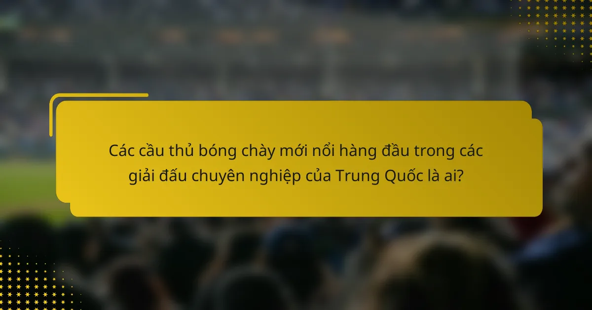 Các cầu thủ bóng chày mới nổi hàng đầu trong các giải đấu chuyên nghiệp của Trung Quốc là ai?