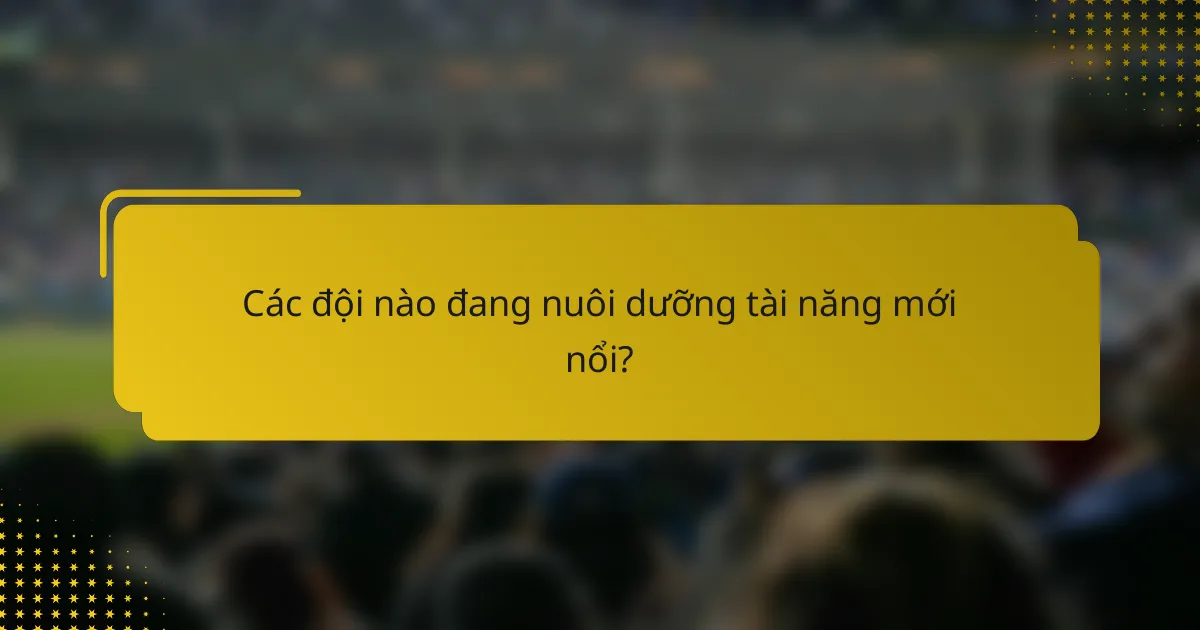 Các đội nào đang nuôi dưỡng tài năng mới nổi?