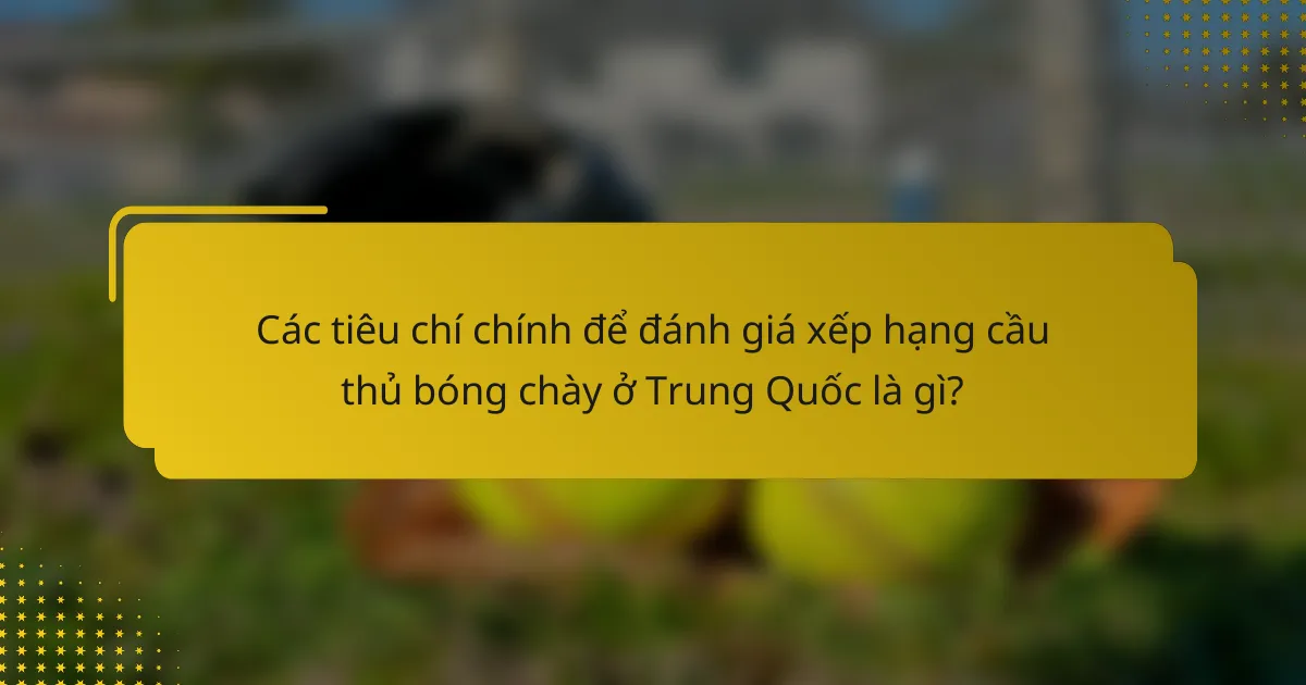 Các tiêu chí chính để đánh giá xếp hạng cầu thủ bóng chày ở Trung Quốc là gì?
