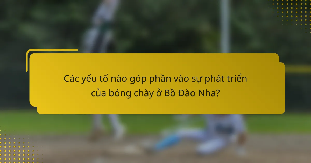 Các yếu tố nào góp phần vào sự phát triển của bóng chày ở Bồ Đào Nha?